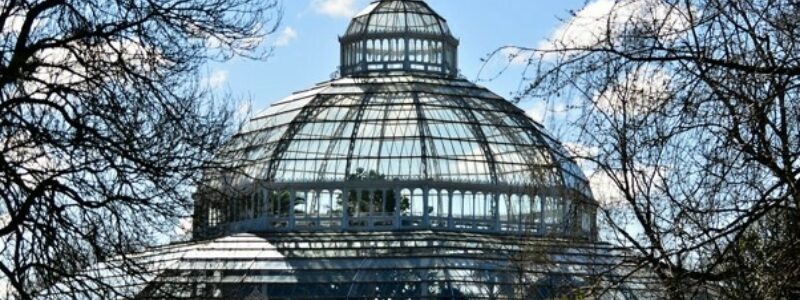 Sefton Park Palm House